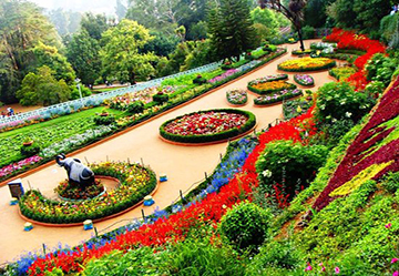 botanical garden in ooty