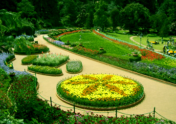 sims park in ooty